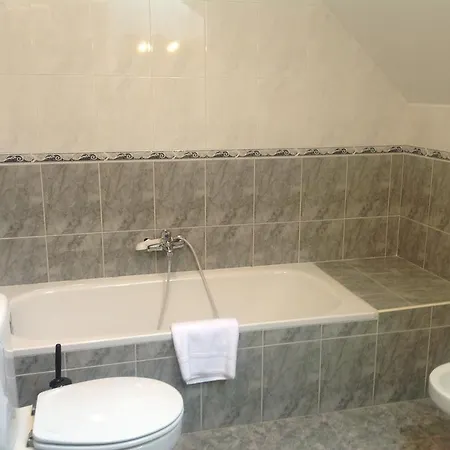 San Froilan Virgen del Camino